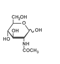 N アセチルグルコサミン 研究開発 焼津水産化学工業